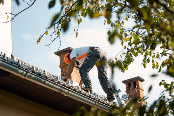 Best Roof Inspection Near Me  in Converse, IN